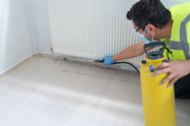 Reliable Penn Wynne, PA Pest Control Solutions